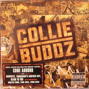 Collie Buddz